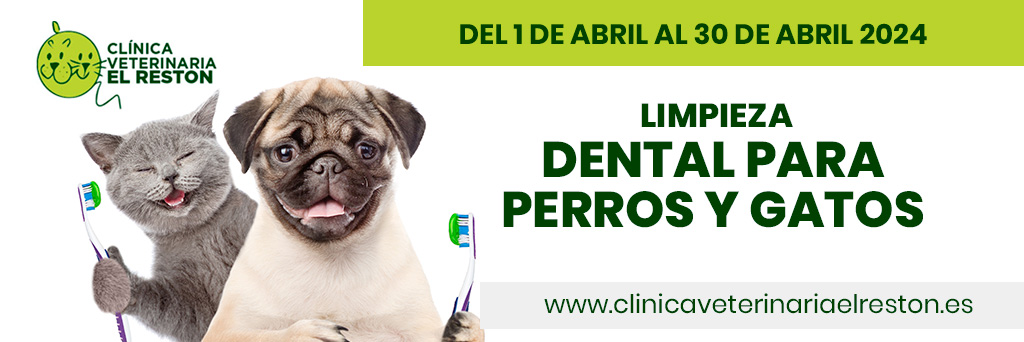 Campaña de Limpieza y Cuidado Dental para Perros y Gatos en Valdemoro, Madrid