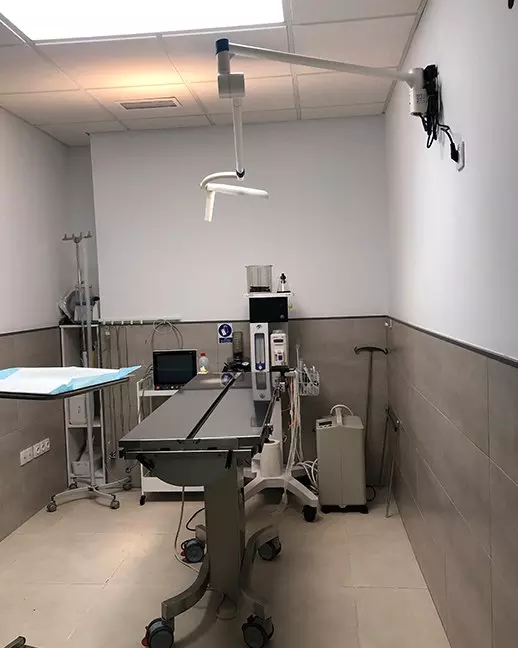 Centro Clinica Veterinario para perros y gatos en Valdemoro, Madrid