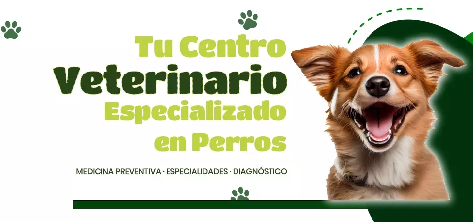 Clínica veterinaria para perros en Valdemoro, Madrid